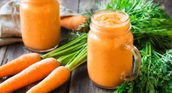 Resep Sehat untuk Smoothie: Energi Instan dalam Segelas