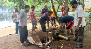 Pelindo Siapkan Juru Sembelih Halal Sambut Idul Adha