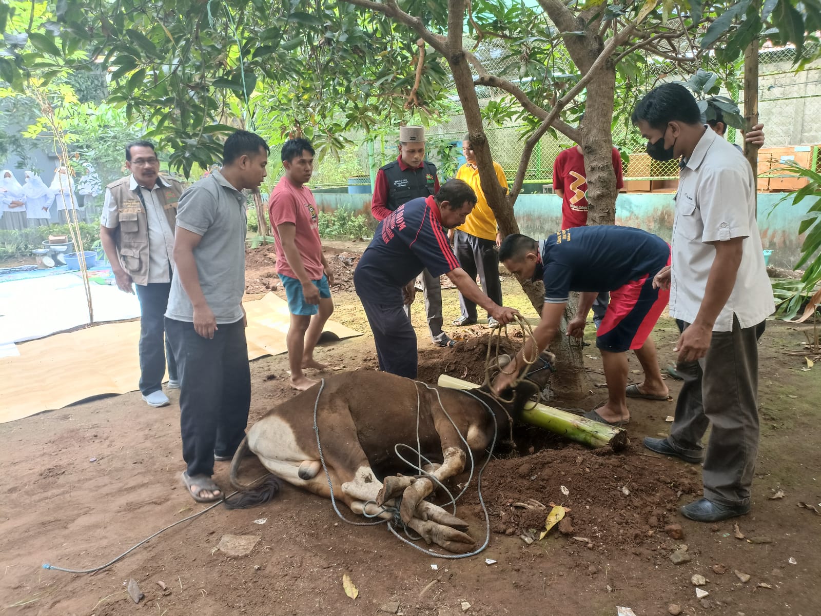 Pelindo Siapkan Juru Sembelih Halal Sambut Idul Adha